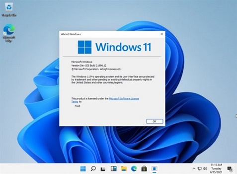 Win10可以免费升Win11吗?Windows10能够免费升级吗?