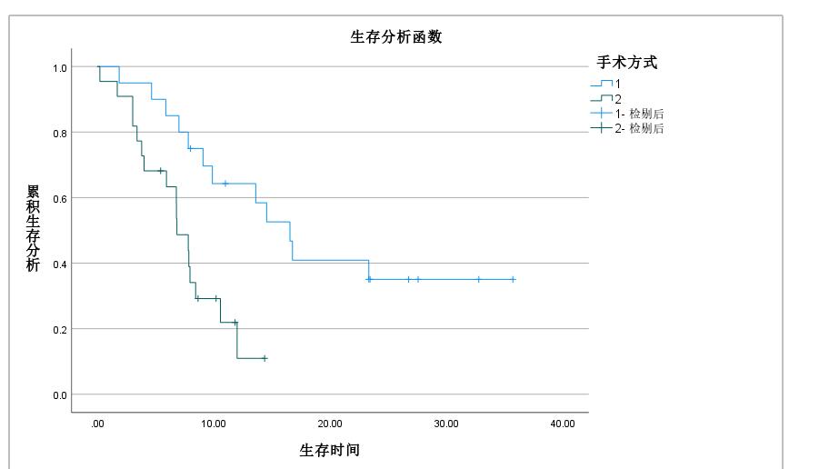 SPSS中怎么用Kaplan-Meier模型判断单个指标对生存期的影响?