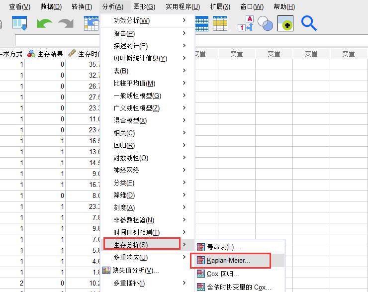 SPSS中怎么用Kaplan-Meier模型判断单个指标对生存期的影响?