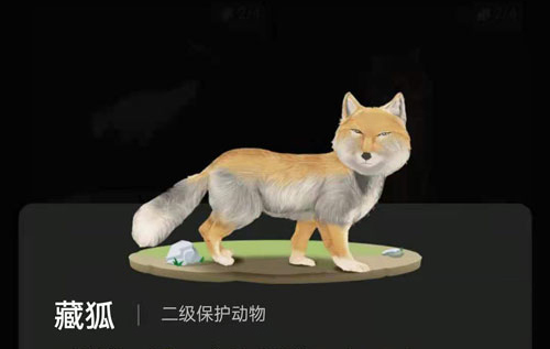 蚂蚁森林里的小动物怎么获得?蚂蚁森林里的小动物有哪些?