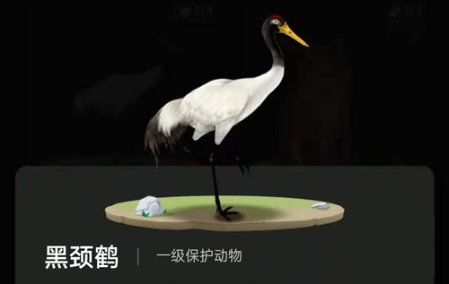 蚂蚁森林里的小动物怎么获得?蚂蚁森林里的小动物有哪些?
