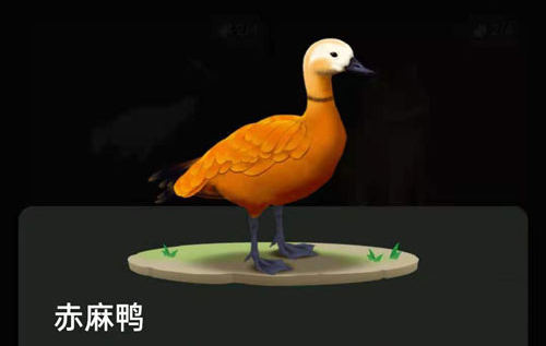 蚂蚁森林里的小动物怎么获得?蚂蚁森林里的小动物有哪些?