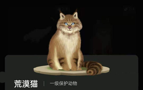蚂蚁森林里的小动物怎么获得?蚂蚁森林里的小动物有哪些?