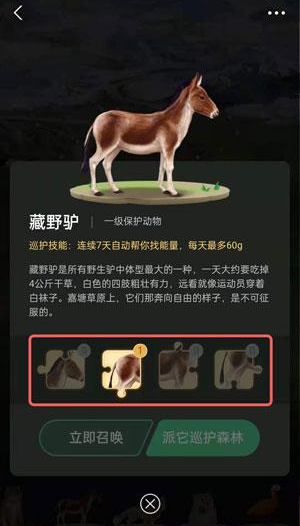蚂蚁森林里的小动物怎么获得?蚂蚁森林里的小动物有哪些?