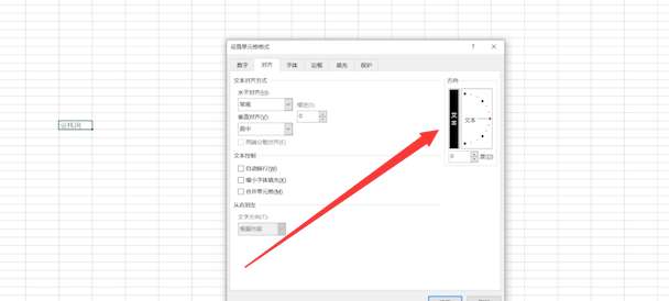 怎么把Excel表格中的文字由横向输入变成纵向输入?
