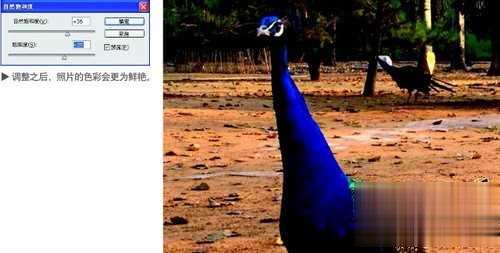 Photoshop如何调整图片清晰度?