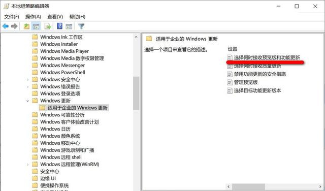 如何阻止电脑自动升级到Win10 21H1版本?