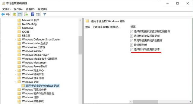 如何阻止电脑自动升级到Win10 21H1版本?