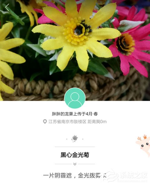 形色app怎么用?形色app使用方法