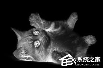 PS怎么做素描画效果？PS做素描画效果的方法