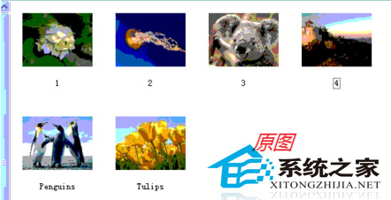WinXP缩略图显示异常的解决方法