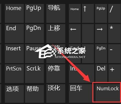 惠普Windows11打不了字怎么弄？惠普Windows11打不了字解决方法