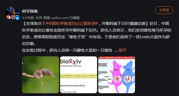 中国科学家成功让公鼠怀孕！顺利诞下10只健康幼崽