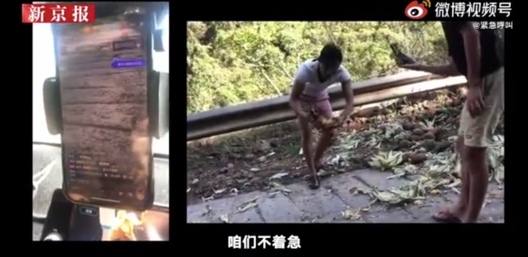 吃相太难看！网络主播在投食区吃播象群吃剩的菠萝