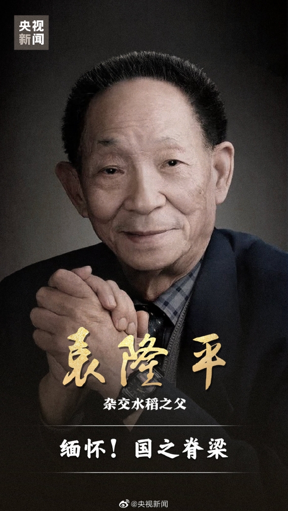 袁隆平院士逝世 市民在医院门口摆三束水稻告慰袁老