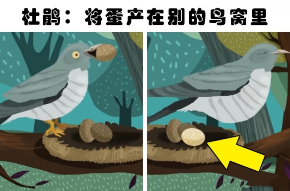 虎毒不食子？残酷自然界生存法则：弱肉强食才是王道！