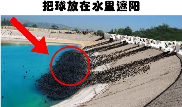 奇奇怪怪？听起来愚蠢但实际上确实可行的6个奇怪想法