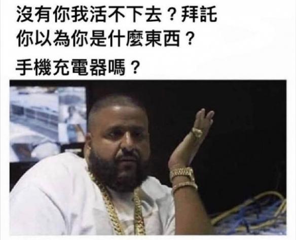 最好的电脑显示器是啥样？囧图熊猫嘿咻场面不忍直视啊