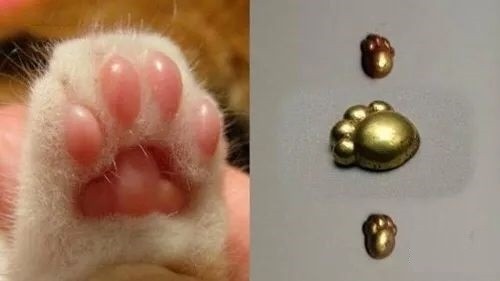 早期人类也吸猫?山西周代古墓出土5件形似猫爪的金饰！