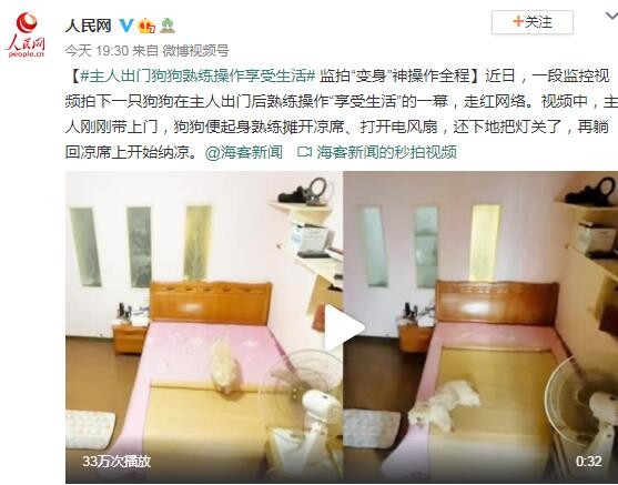 汪星人：不装了，摊牌了！狗子“骚操作”走红网络！