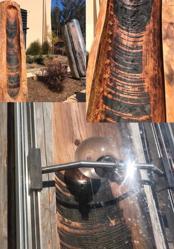 自行车与大树合体了！这30张照片让你明白时间的强大