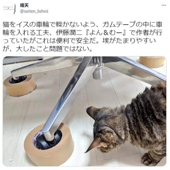 日推热转伊藤润二小妙招：如何避免电竞椅压到猫主子！