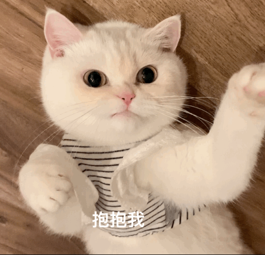 双倍幸福超强变身！当喵星人变萌妹：今天你想撸哪只？