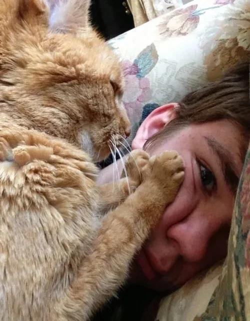 网友分享奇葩猫咪睡姿图：睡觉门槛都这么高了吗？