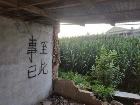 早安少女北川莉央真是太美了 囧图 此处禁止泡澡谢谢