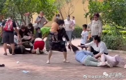 游客在北京野生动物园打架 通报：当晚动物纷纷效仿