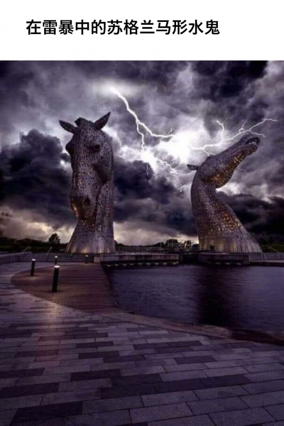 一组诱发"巨物恐惧症"图片赏:头皮一紧或乐此不疲!