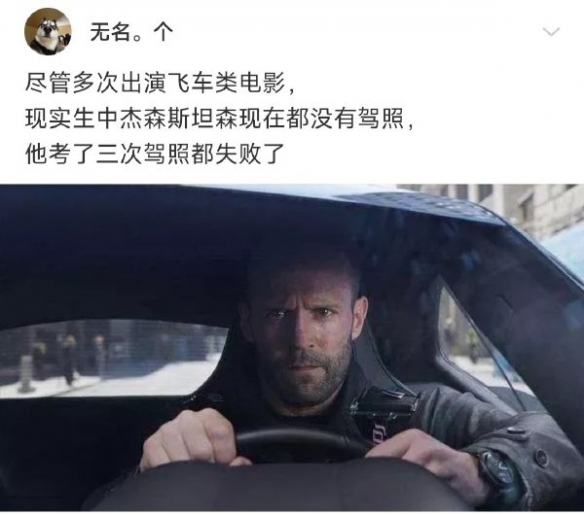试问哪个男人能拒绝这个 囧图 猫猫正在练习报恩中