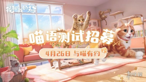 与猫咪的治愈生活！西山居公布养猫手游《我和我的猫》