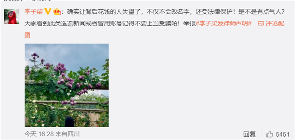 李子柒再发声：让买水军的人失望了 是不是有点气人？