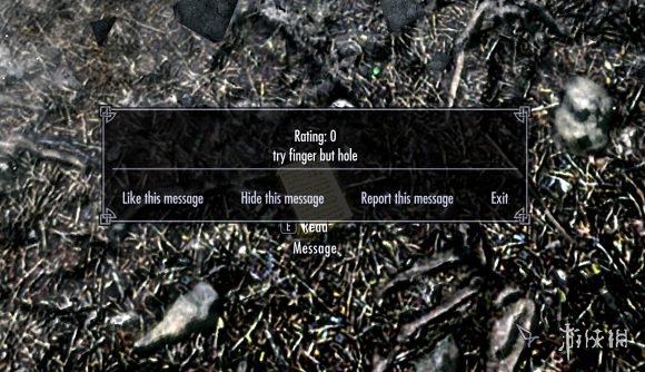 前有洞但手指！饭制《老滚5》仿《老头环》建言mod