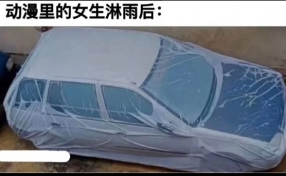 P站给世界带来爱与和平！ 囧图 一夜暴富的机会来了
