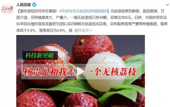48颗无核荔枝550元！专家攻克种植难题：每年供不应求