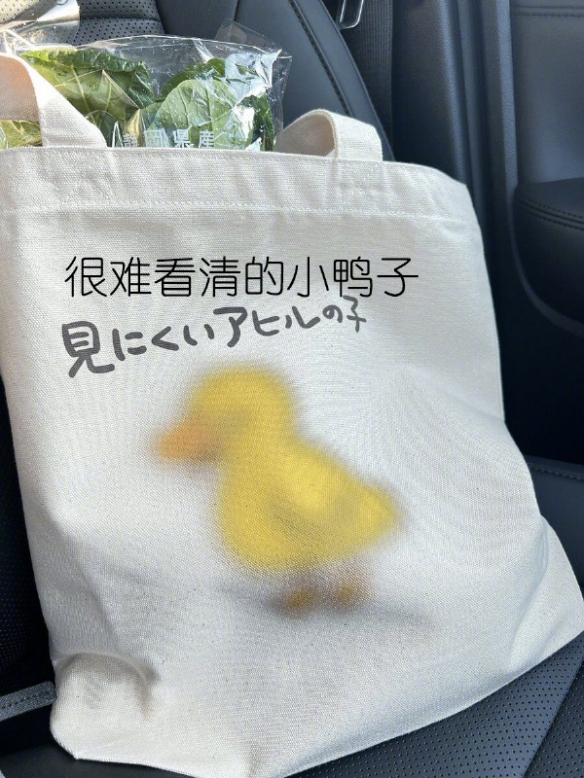我来看看谁有大胆的想法 囧图 大师：素人也是素！