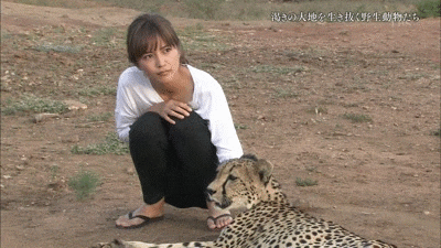 猫头鹰不是猫的铁证 动图 对美少女黑丝真的没抵抗力