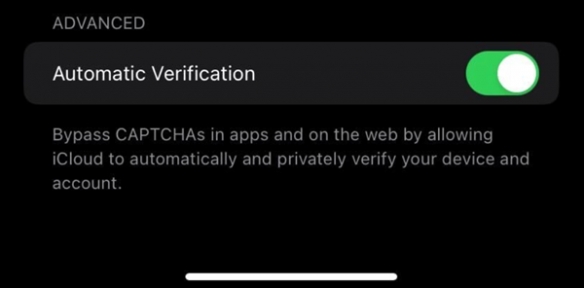 IOS 16新功能：可通过iCloud自动识别填写网站验证码
