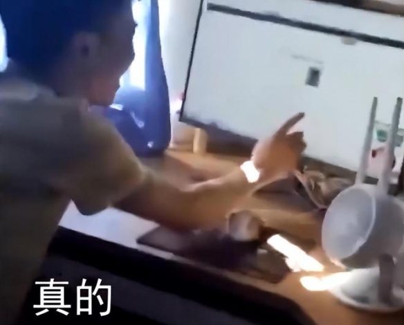 海南一考生考出900分满分 清华北大均已抛出橄榄枝！