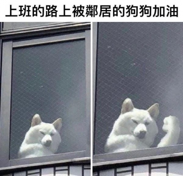 吃过最大的苦就是上班 囧图 麻药发明之前是怎样麻醉的