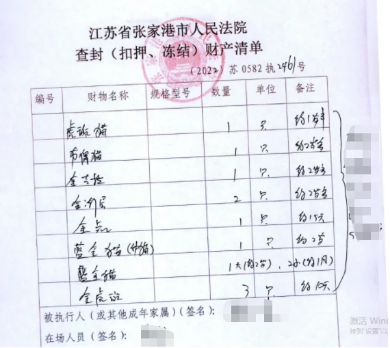 江苏一男子欠债8万不还 12只宠物猫被法院拍卖抵债！