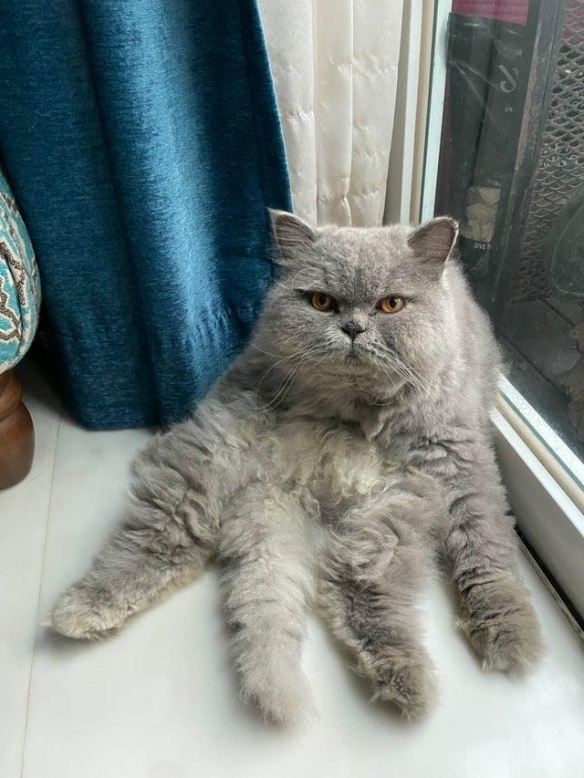眼睛会骗人！１５张看似猎奇的照片：看破其中奥秘！