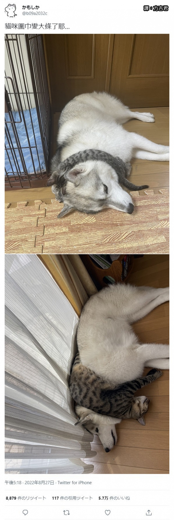 啥叫童颜啊这就叫童颜 囧图 菜名上厕所没带纸