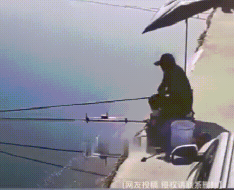 这手法不去刷墙可惜了 动图 这过于强劲的推背感！