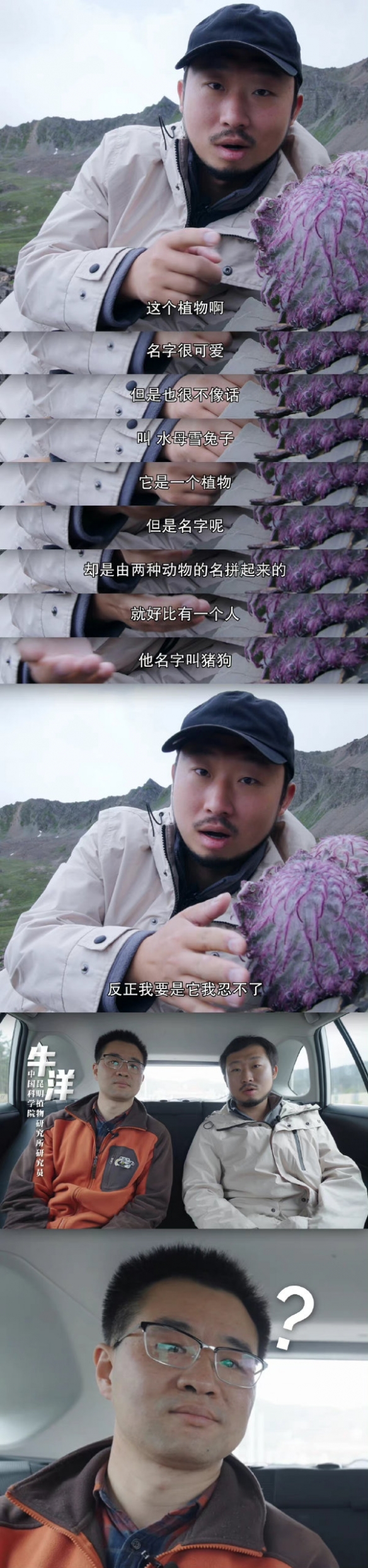你小子内涵谁呢 囧图 至少还有人陪你一起落地成盒