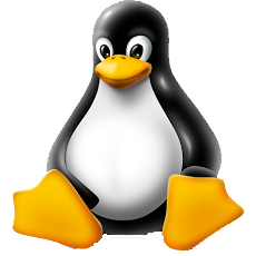 Linux系统命令及其使用详解(大全)