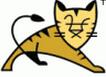 Apache Tomcat 9.0.17