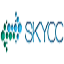 skycc百度PING批量提交工具免费版 1.0